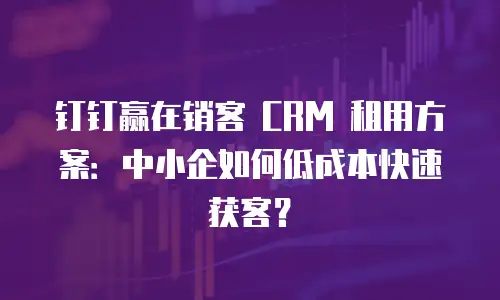 钉钉赢在销客 CRM 租用方案：中小企如何低成本快速获客？
