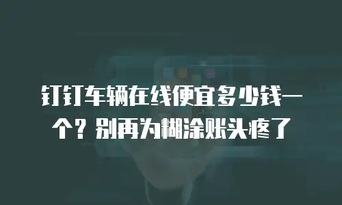 钉钉车辆在线便宜多少钱一个？别再为糊涂账头疼了