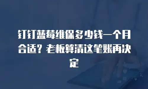 钉钉蓝莓维保多少钱一个月合适？老板算清这笔账再决定