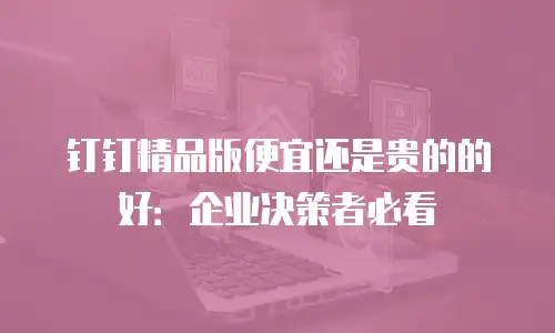 钉钉精品版便宜还是贵的的好：企业决策者必看