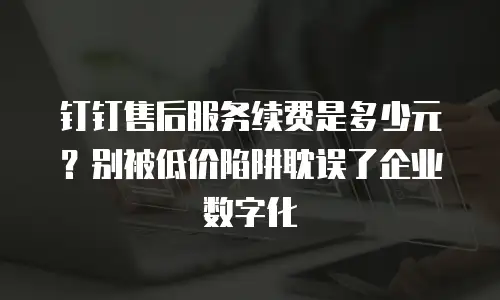 钉钉售后服务续费是多少元？别被低价陷阱耽误了企业数字化