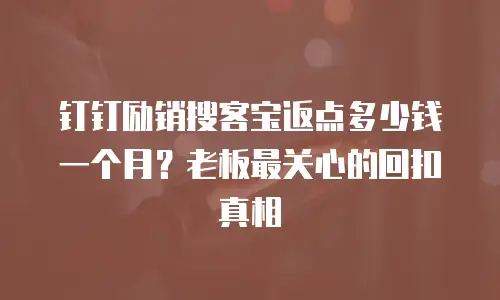 钉钉励销搜客宝返点多少钱一个月？老板最关心的回扣真相