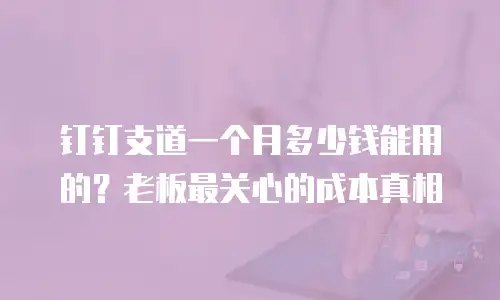 钉钉支道一个月多少钱能用的？老板最关心的成本真相