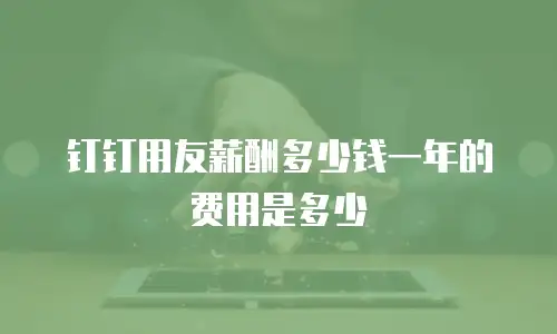 钉钉用友薪酬多少钱一年的费用是多少
