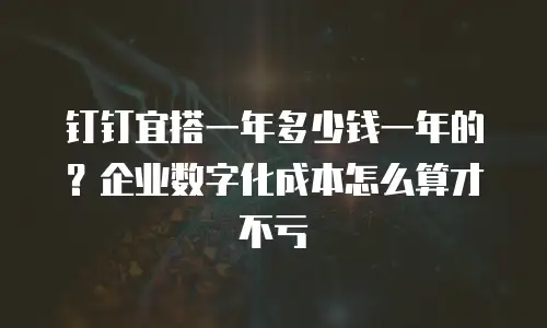 钉钉宜搭一年多少钱一年的？企业数字化成本怎么算才不亏