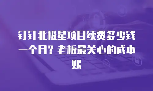 钉钉北极星项目续费多少钱一个月？老板最关心的成本账