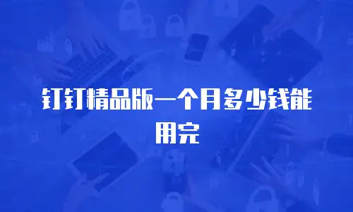 钉钉精品版一个月多少钱能用完