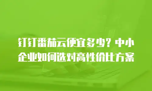 钉钉番茄云便宜多少？中小企业如何选对高性价比方案
