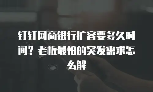 钉钉网商银行扩容要多久时间？老板最怕的突发需求怎么解
