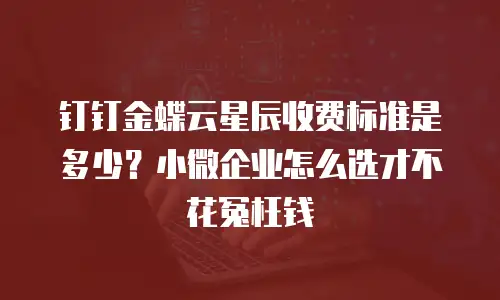 钉钉金蝶云星辰收费标准是多少？小微企业怎么选才不花冤枉钱