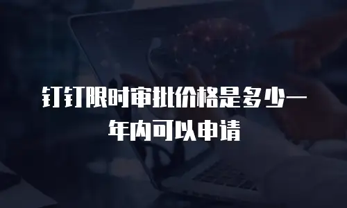 钉钉限时审批价格是多少一年内可以申请