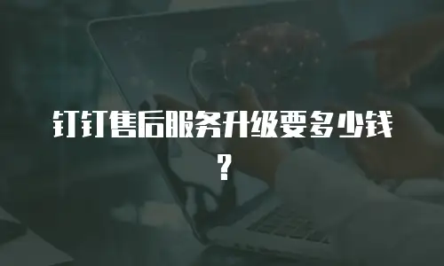 钉钉售后服务升级要多少钱？