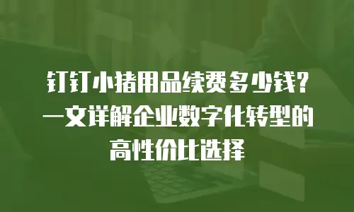 钉钉小猪用品续费多少钱？一文详解企业数字化转型的高性价比选择