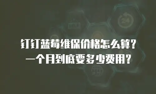 钉钉蓝莓维保价格怎么算？一个月到底要多少费用？