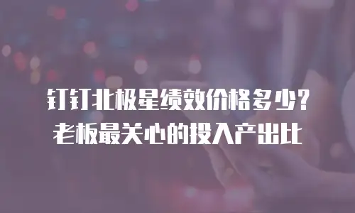 钉钉北极星绩效价格多少？老板最关心的投入产出比