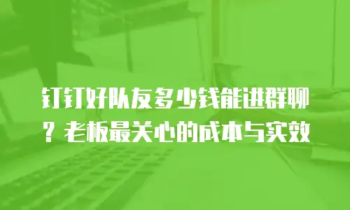 钉钉好队友多少钱能进群聊？老板最关心的成本与实效