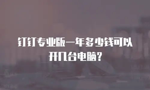 钉钉专业版一年多少钱可以开几台电脑？