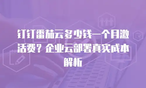 钉钉番茄云多少钱一个月激活费？企业云部署真实成本解析