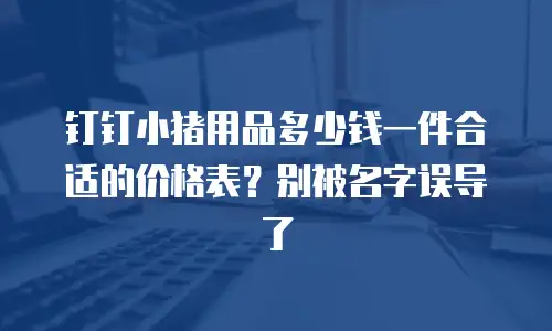 钉钉小猪用品多少钱一件合适的价格表？别被名字误导了