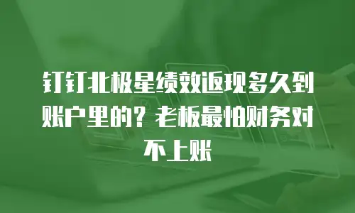 钉钉北极星绩效返现多久到账户里的？老板最怕财务对不上账
