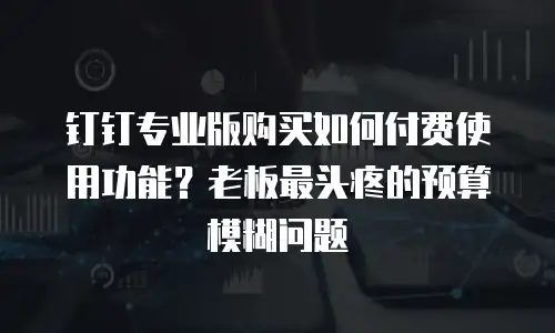 钉钉专业版购买如何付费使用功能？老板最头疼的预算模糊问题
