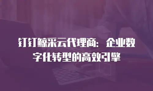 钉钉鲸采云代理商：企业数字化转型的高效引擎