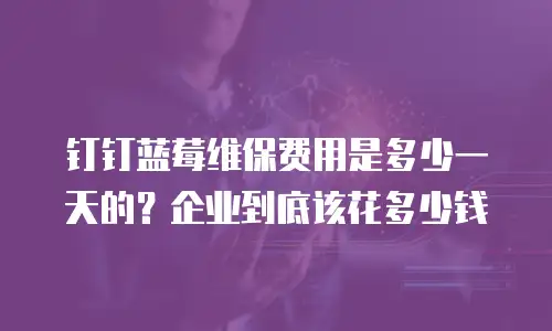钉钉蓝莓维保费用是多少一天的？企业到底该花多少钱