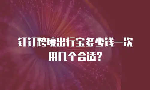 钉钉跨境出行宝多少钱一次用几个合适？