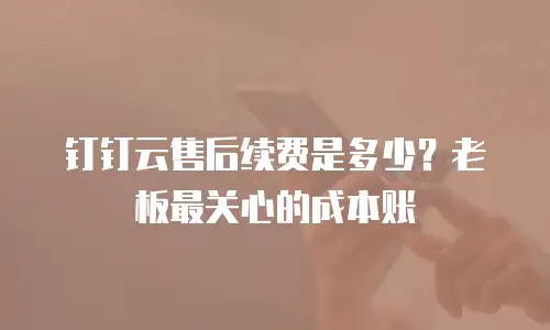 钉钉云售后续费是多少？老板最关心的成本账