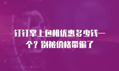 钉钉掌上包机优惠多少钱一个？别被价格带偏了