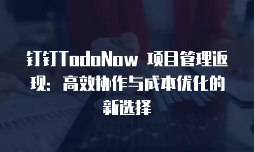 钉钉TodoNow 项目管理返现：高效协作与成本优化的新选择