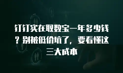 钉钉实在取数宝一年多少钱？别被低价坑了，要看懂这三大成本