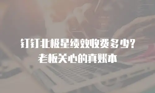 钉钉北极星绩效收费多少？老板关心的真账本