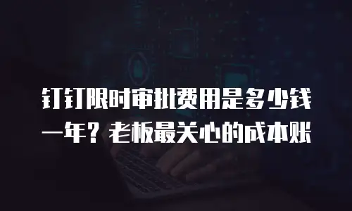 钉钉限时审批费用是多少钱一年？老板最关心的成本账