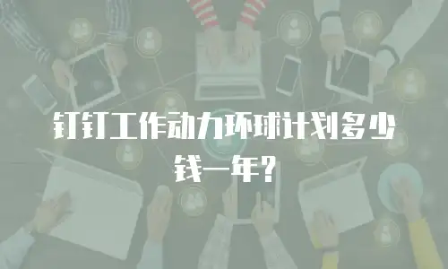 钉钉工作动力环球计划多少钱一年？