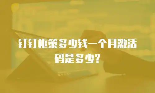钉钉枢策多少钱一个月激活码是多少？