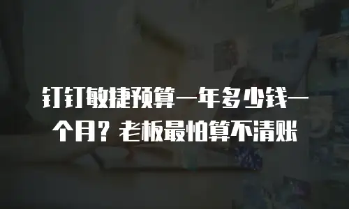 钉钉敏捷预算一年多少钱一个月？老板最怕算不清账