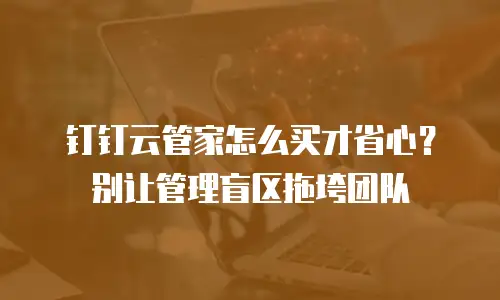 钉钉云管家怎么买才省心？别让管理盲区拖垮团队