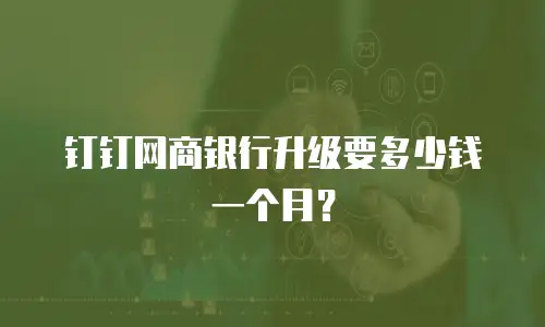 钉钉网商银行升级要多少钱一个月？