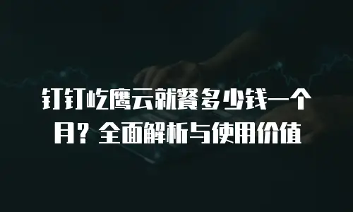 钉钉屹鹰云就餐多少钱一个月？全面解析与使用价值