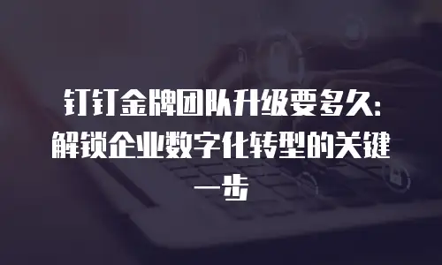 钉钉金牌团队升级要多久：解锁企业数字化转型的关键一步