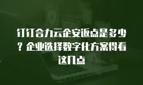 钉钉合力云企安返点是多少？企业选择数字化方案得看这几点