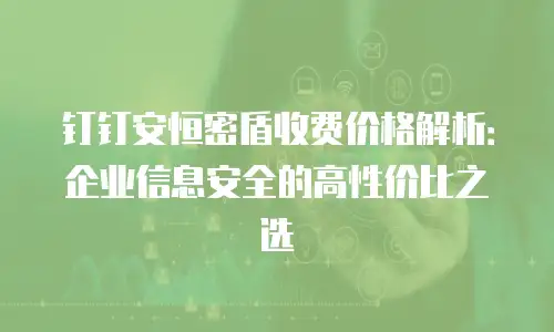 钉钉安恒密盾收费价格解析：企业信息安全的高性价比之选