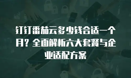钉钉番茄云多少钱合适一个月？全面解析六大套餐与企业适配方案