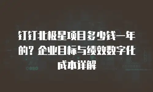 钉钉北极星项目多少钱一年的？企业目标与绩效数字化成本详解