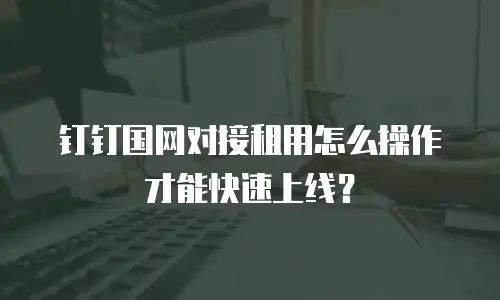钉钉国网对接租用怎么操作才能快速上线？