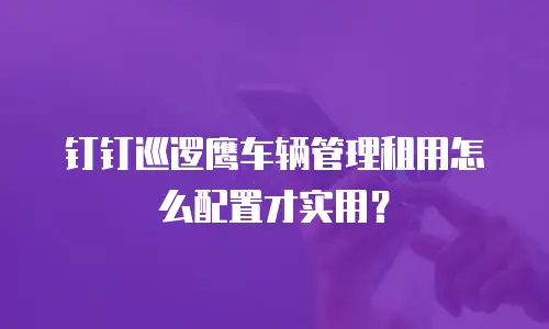 钉钉巡逻鹰车辆管理租用怎么配置才实用？