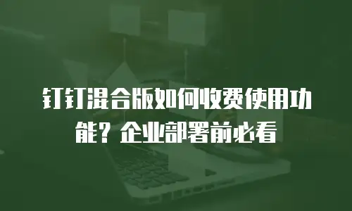 钉钉混合版如何收费使用功能？企业部署前必看