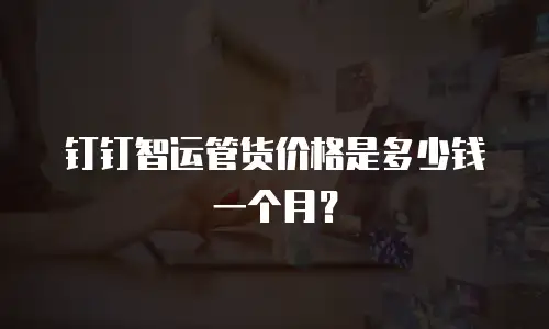 钉钉智运管货价格是多少钱一个月？
