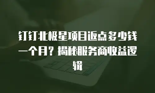 钉钉北极星项目返点多少钱一个月？揭秘服务商收益逻辑